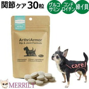  ֐ Tvg A[XA[}[ 30 ֐߃PA  p Tv ` ɏ ^ ֐ RhC` ORT~ ybg̃Tv G GW EP pe V   lC