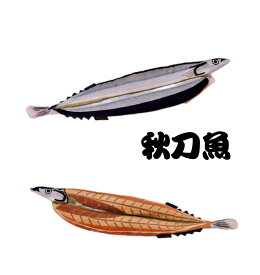 犬 おもちゃ 干物 ひものトイ REAL ぬいぐるみ チワワ 魚 ひらき 金目鯛 さんま あじ 猫 ネコ 小型犬 ペット パピー 犬用おもちゃ 笛 和食 たい 開き 犬おもちゃ 子犬 おしゃれ 噛む 甘噛み カミカミ おもしろ ペット用品 ペットグッズ 犬用品