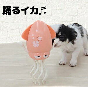 xCJ   pi L o   lV d ߋ  ʂ ^ ^  ЂƂV I` p ybgObY