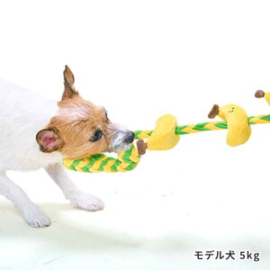 �� �������� �������� �t���[�c ���[�v �g�C �y�b�g ���̂������� ���������� �Ђ��ς���� �� ������ �s���N �`���� ���^�� ���^�� ���� �ʂ������ ������ ���p �p�s�[ ���p�ߋ� �V���J�V