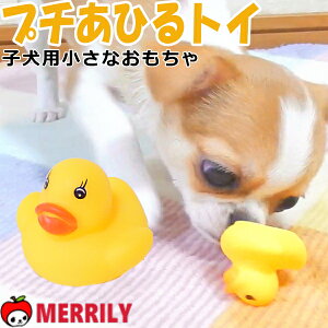   ȂЂ邳 v` Aq gC ebNX ̂ _bN  v[h ɏ ps[ ` ^ q ybg 킢     Ê  