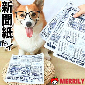   V gC JVJV ʂ V _炩  ʐ^ SNS RXv ` ^ q ɏ eB[Jbv v[h ps[  Ê  pi ybg 