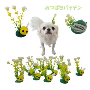  ybg wAANZT[ ݂΂ pb` n` I wANbv wAs R[s IV   ς  Ȃ ANZT[ y o Xq  A