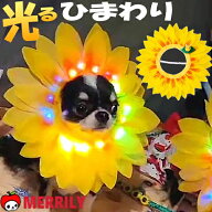 犬 帽子 光るひまわり 犬の帽子 ヒマワリ 輪郭 ライト 犬用帽子 えりまき 向日葵 被り物 かぶりもの コス…