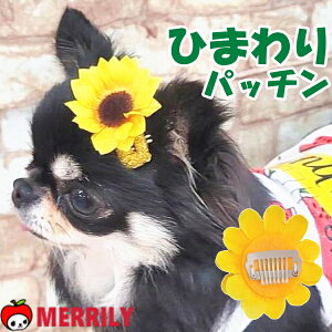 Ђ܂ pb`  R[^ wAs wAANZT  ߑ  񂽂 ߂ LOBe R[^pb` pb` wApb`      