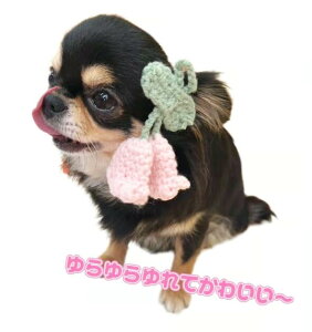   pb`   ^ ^ ^ jbg   Oɂ ₷ wbhhX