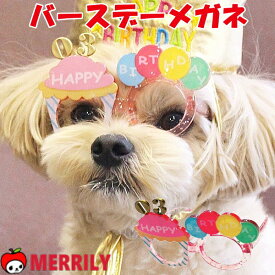 犬 誕生日 変身眼鏡 バースデー メガネ お祝い 小物 雑貨 グッズ プレゼント 衣装 グッズ 飾り 小型犬 チワワ 極小 子犬 パピー ティーカップ プードル かわいい ハッピー 写真 SNS インスタ 撮影 コスプレ 年齢 軽い 記念日 数字 イベント サングラス