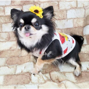 pb` Ђ܂ p  R[^ Zbg wAANZ ANZT[ R[^ Xg[t pb`   ȒP Ƃꂸ炢 wbhhX