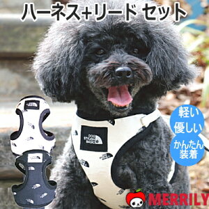 n[lX [h Zbg I[I[o[p^[ \[gt n[lX[h AtbVtB[O  n[lX pn[lX ` ^  \tg _炩 y q 