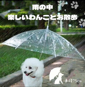  P JV U  ybgAu a75cm  rj[P [h J̓ Oo ybgpi p J n[lX ^ ^ CObY o UObY pi ybgObY 