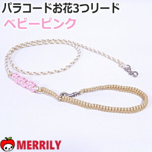 [h pR[h  [h kaiware t[[h Pi  p[h ` ^  \tg _炩 y q  U o ȒP  D 킢 W pi 