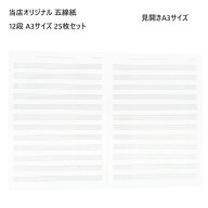 五線紙 A3サイズ 片面 25枚入り 見開きA3サイズ 5線 五線譜 五線ノート【メール便送料無料】オリジナル …