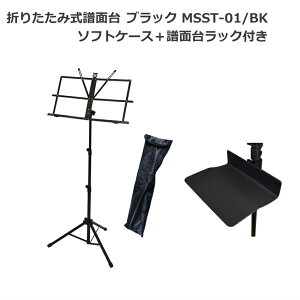 KC L[c X`[ʑ MSST-01/BK y y ^тy P[Xt u bNt