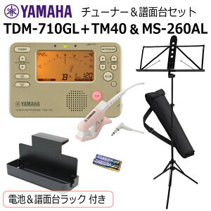 YAMAHA `[i[ gm[ TDM-710GL  Nbv}CN TM-40  }n ʑ MS-260ALZbg/ }CN{dr{ʑ䃉bN t/S[h ty uo