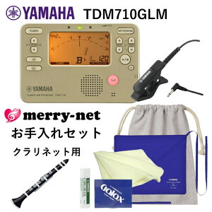 YAMAHA `[i[ gm[ TDM-710GLM {XIWi Nlbgp Ǌy킨Zbg ty uo `[i[