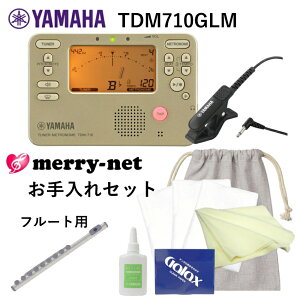 YAMAHA `[i[ gm[ TDM-710GLM {XIWi t[gp Ǌy킨Zbg ty uo `[i[