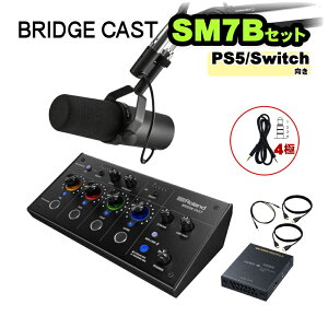 Roland BRIDGE CAST SHURE SM7B�t �_�C�i�~�b�N�}�C�N�Z�b�g (HDMI������Z�b�g)