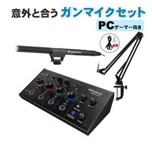 Roland BRIDGE CAST Sennheiser �K���}�C�N�Z�b�g MKE 600