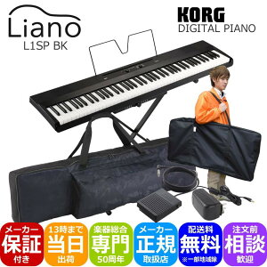 KORG dqsAm Liano L1SP BK(ubN) X^h{^тɕ֗2ނ̃P[Xtu{̂ƃX^hpv