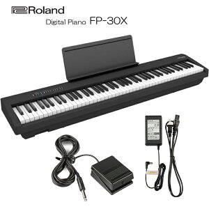 [h dqsAm FP-30X ubN Roland 88fW^sAmuXCb`y_DP-2v