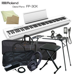 [h dqsAm FP-30X zCg Roland 88fW^sAmue[u^X^h/܂肽݈֎q/2ނ̃P[Xv