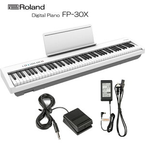 [h dqsAm FP-30X zCg Roland 88fW^sAmuXCb`y_DP-2v