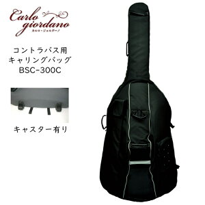 カルロジョルダーノ コントラバス」の人気商品一覧・価格比較 - 価格.com