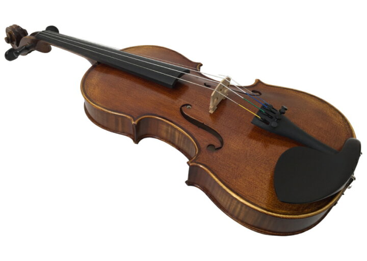 楽天市場】音が良い バイオリン「オーストリア製 BlueDanubeViolin」6 
