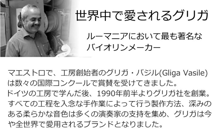 楽天市場】Gliga GEMS「ルーマニア製 バイオリン 趣味にお薦め」12点 