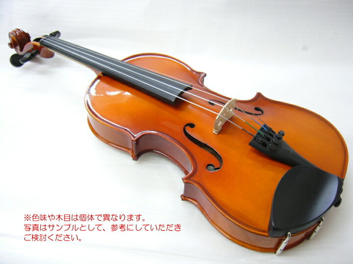 楽天市場】ステンター 初心者向け バイオリン【調整後出荷】SV-180 1 