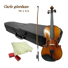 【送料無料】初心者向けバイオリン VS-1 3/4【5点set】カルロジョルダーノ VS1 身長130～145cmの方対象