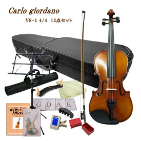 初心者向けバイオリン VS-1 4/4【12点set】カルロジョルダーノ VS1 身長145cm以上の方対象