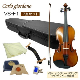 初心者向け バイオリン【調整後出荷】VS-F1 4/4サイズ「7点セット」大人サイズ カルロジョルダーノ