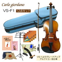 楽天市場】カルロジョルダーノ 1/2（バイオリン｜弦楽器）：楽器・音響 