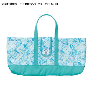 XYL Ճn[jJobO OLM-1G O[ ؊y