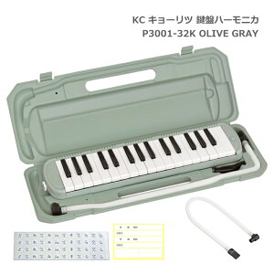 �\���S���Z�b�g���L���[���c ���Ճn�[���j�J P3001 OLIVE GRAY �I���[�u �O���[ 32���� �����f�B�[�s�A�m P3001-32K KC ���w�� �w�Z�p�i ���y���� �V�w�� ���w����