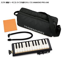 楽天市場】スズキハーモニカ 24穴 amの通販
