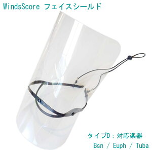 WindsScore tFCXV[h ^CvD yoX[ [tHjA `[o zty Ǌy Ri΍ CtGU\h