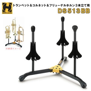 HERCULES n[LX gybg Rlbg t[Qz 3{ăX^h DS513BBy[obOtz ty | ATu ւ