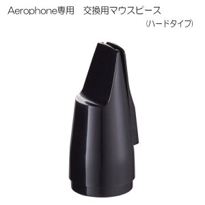 Roland Aerophone GAtH p}EXs[XiAE-10/AE-10G pjOP-AE10MPH GAz
