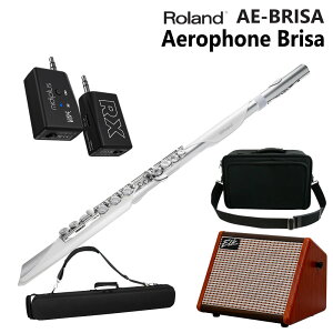 Roland [h GAtH uT Aerophone Brisa CXA_v^[ ^AvZbg