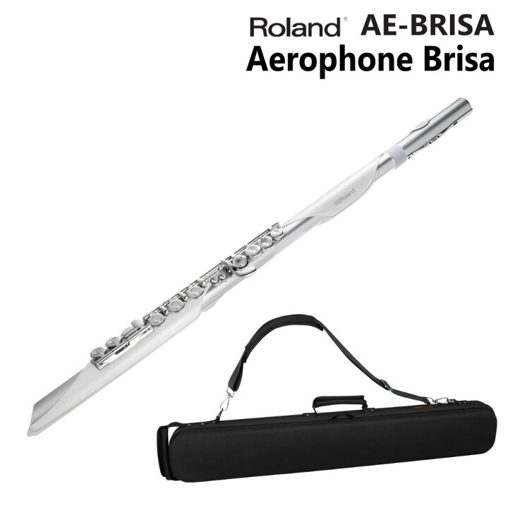 楽天市場】Roland ローランド エアロフォン ブリサ Aerophone Brisa 
