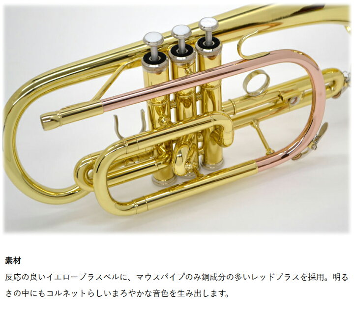 楽天市場】【3年保証】コルネット 初心者 セット J.Michael CT-420 B 