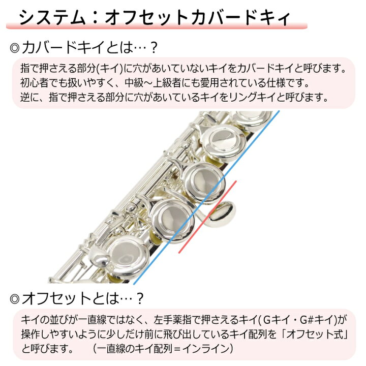 楽天市場】初心者向け フルート セット FL-300S / お手入れセット 