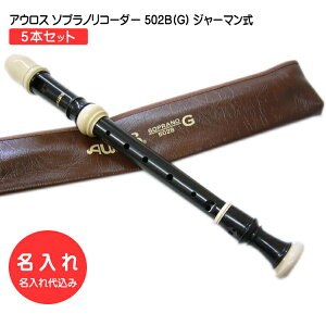  5{Zbg AEX \vmR[_[ 502B(G)yW[}z[㍞/I[_[Chiɂps]