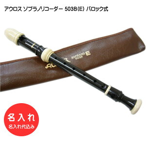 ꁡAEX \vmR[_[ 503B(E)yobNz [㍞/I[_[Chiɂps]