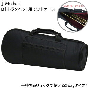 J.Michael gybg \tgP[X bN ubN TRB-301(TRB301) J}CP