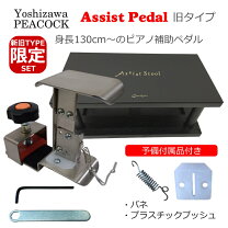 楽天市場】アシストペダル ハイツールセット hs－vの通販
