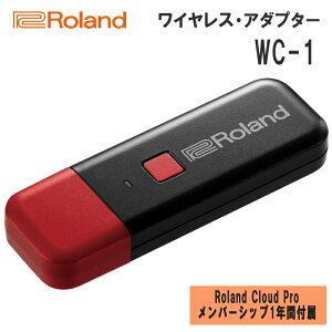 Roland Cloud Connect CXA_v^[ WC-1