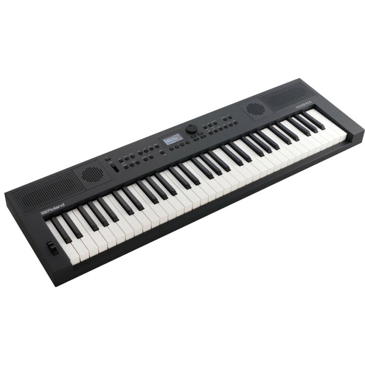 楽天市場】Roland GO KEYS5 黒 GT + キーボードケースセット 